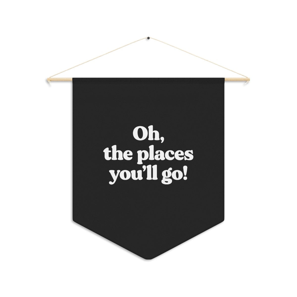 Oh the Places You'll Go - Pennant Flag