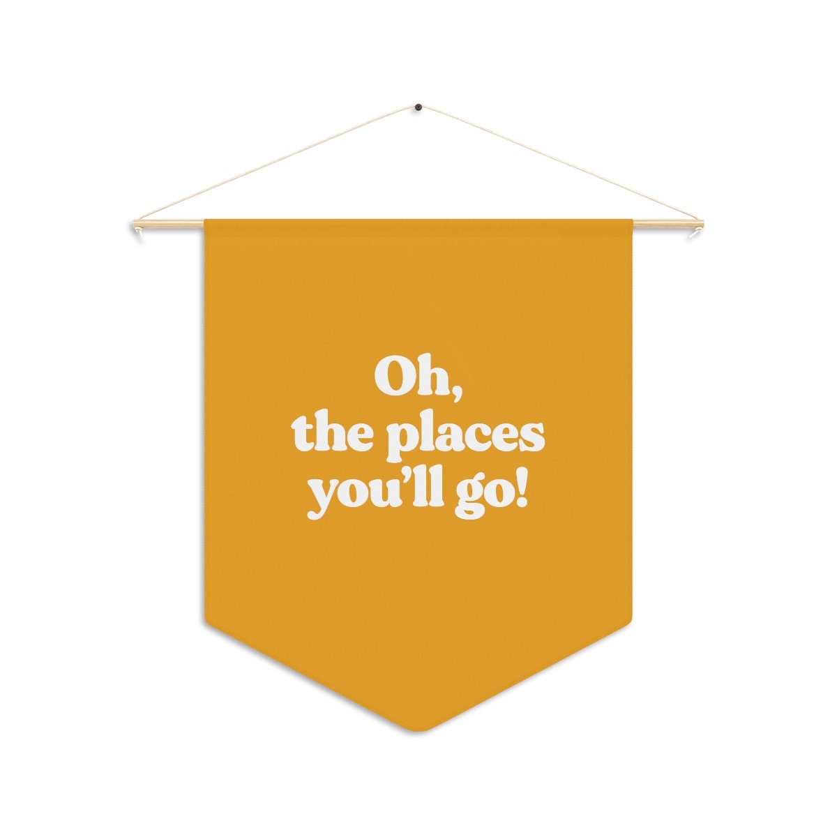Oh the Places You'll Go - Pennant Flag