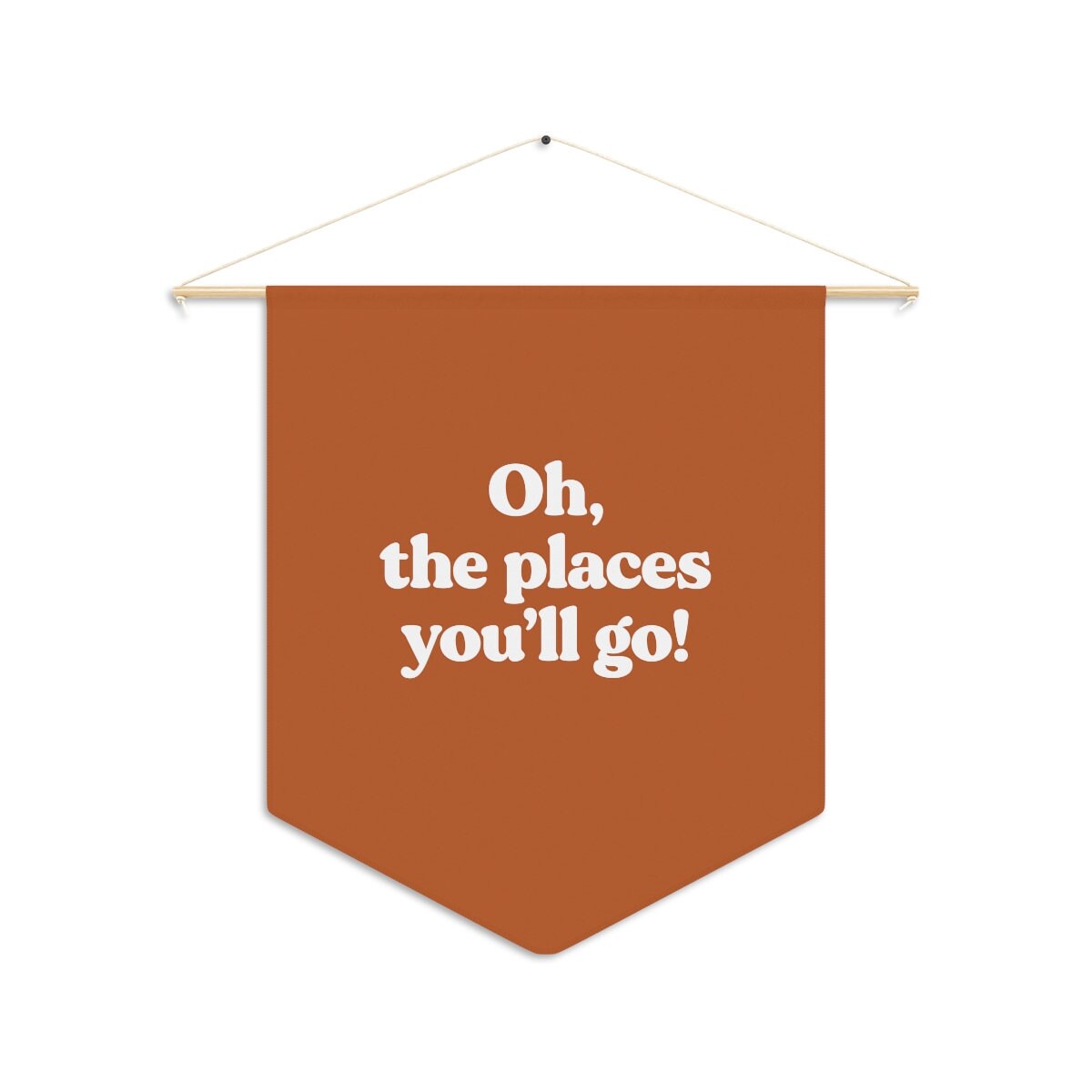 Oh the Places You'll Go - Pennant Flag