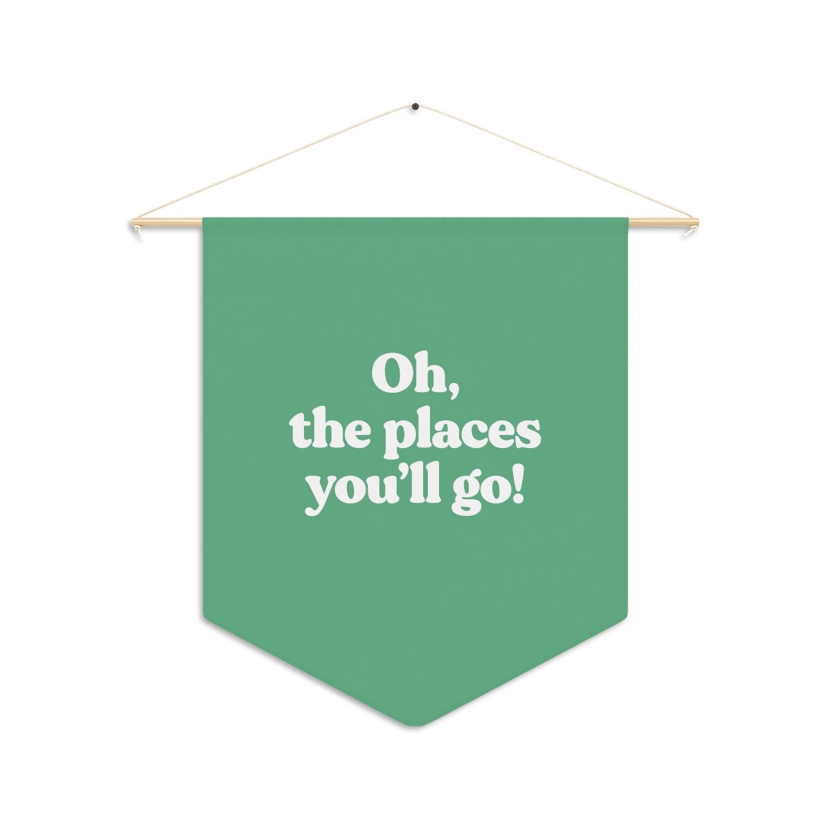 Oh the Places You'll Go - Pennant Flag